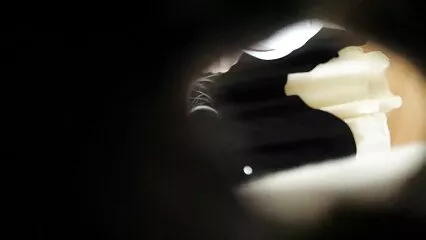 Hermoso culo besa el ano en el casting sexo lesbico latino